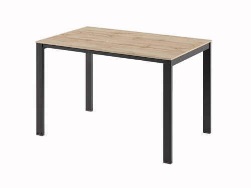 Стол на металлокаркасе одинарный Саньяна N-30 1200x750x750 (Дуб ВотанЧерный)