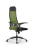 Кресло для руководителя Метта Sit 10 B1-111U - X2+UMF(X1) /Ub00/Wh00/U0mL-b(M09.B11.G19.W02) (Зеленый | Черный)