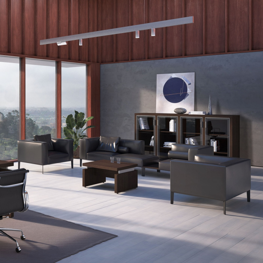 Кабинет руководителя Triumf