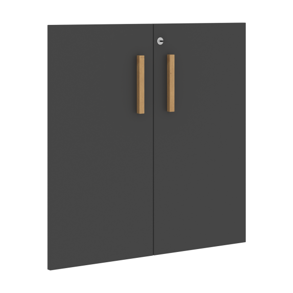 Двери низкие Forta FLD 40-2(Z) 794x18x766 (Черный графит)