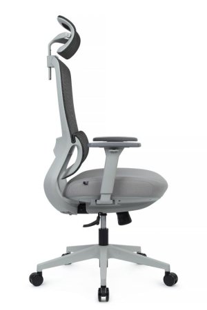 Кресло Skill RCH 6245AX-HS Серый (Серый)