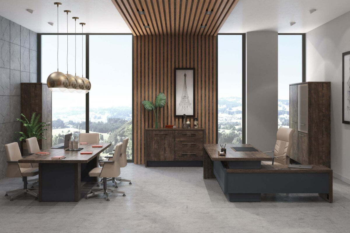 Кабинет руководителя Torston