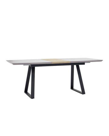 Стол обеденный Детройт раскладной 160-200*90 серый (Стол обеденный Детройт серый)